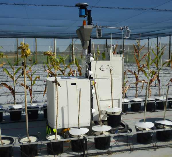 agricultural robot HeliPhen tends to its plants